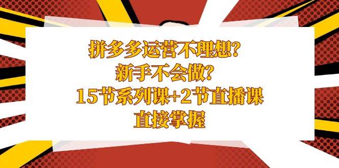 拼多多运营不理想？新手不会做？15节系列课+2节直播课，直接掌握-网创社区