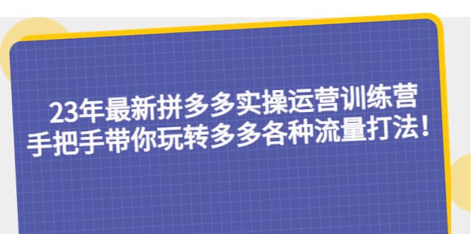 23年最新拼多多实操运营训练营：手把手带你玩转多多各种流量打法！-网创社区