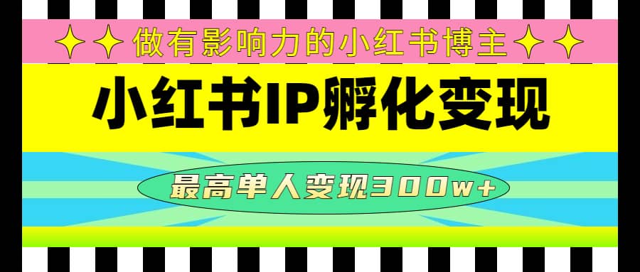 某收费培训-小红书IP孵化变现：做有影响力的小红书博主-网创社区