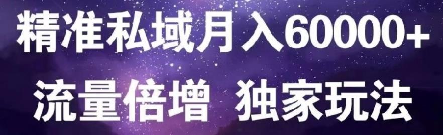 原力网赚精准私域月入60000+,流量倍增独家玩法-网创社区