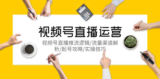 视频号直播运营，视频号直播推流逻辑/流量渠道解析/起号攻略/实操技巧-网创社区