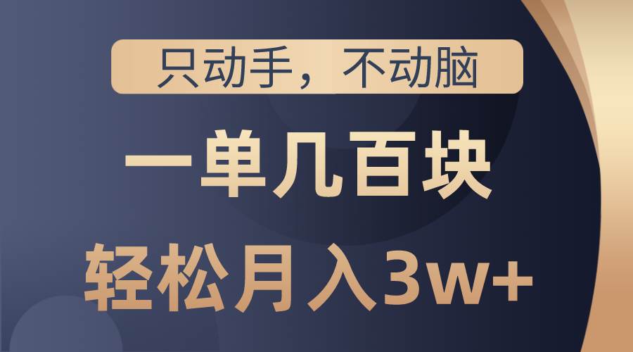 只动手不动脑，一单几百块，轻松月入3w+，看完就能直接操作，详细教程-网创社区
