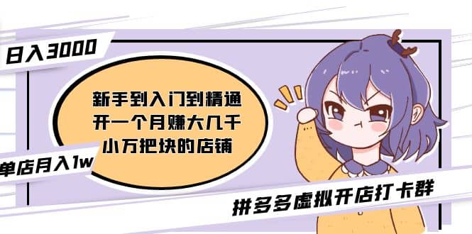 拼多多虚拟开店打卡群：新手到入门到精通-网创社区