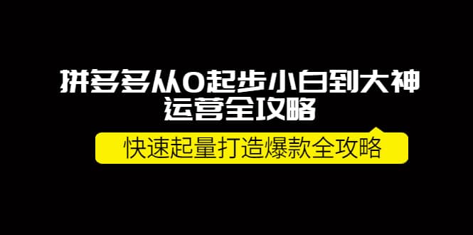 拼多多从0起步小白到大神运营全攻略-网创社区