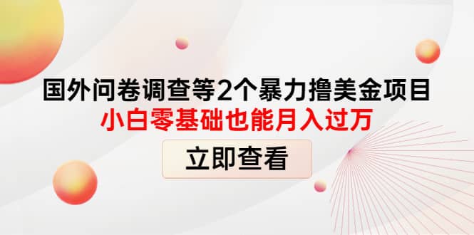 国外问卷调查等2个暴力撸美元项目，小白零基础也能月入过万-网创社区