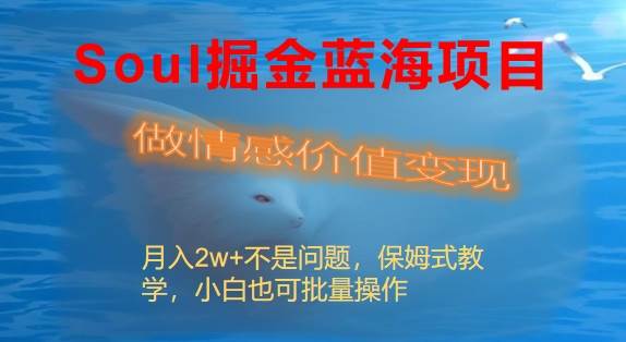 Soul掘金蓝海项目细分赛道，做情感价值变现，月入2w+不是问题-网创社区