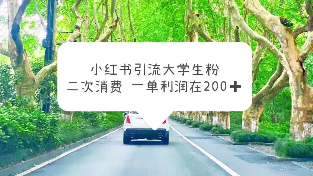 小红书引流大学生粉，变现项目，一单利润在200+（教程+资源）-网创社区