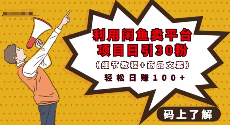 利用闲鱼卖平台项目课程资源日引流30+精准粉丝，轻松日赚100+，积累人脉可实现二次变现（细节教程+商品文案）-网创社区