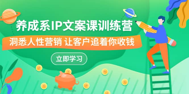 养成系-IP文案课训练营，文案心法的天花板 洞悉人性营销 让客户追着你收钱-网创社区