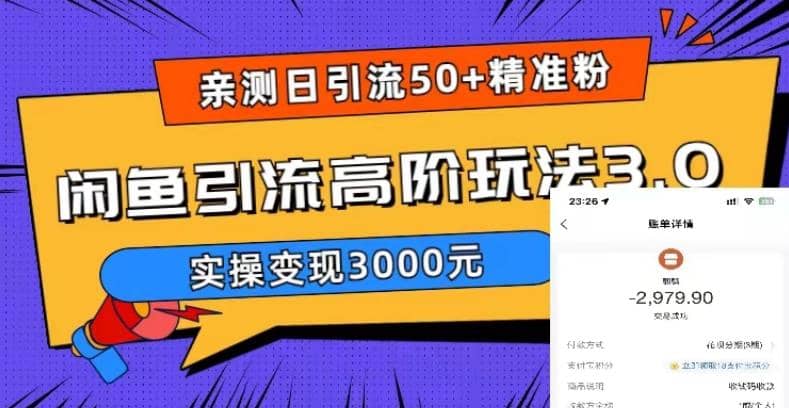 实测日引50+精准粉，闲鱼引流高阶玩法3.0，实操变现3000元-网创社区