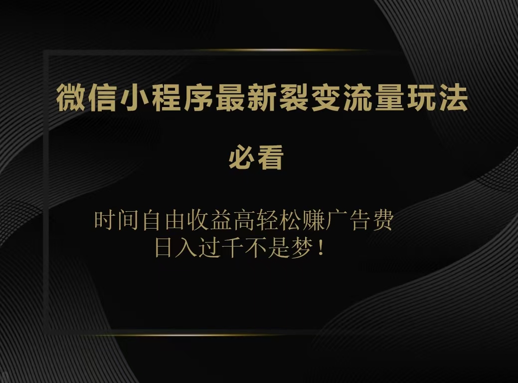 微信小程序最新裂变流量玩法，时间自由收益高轻松赚广告费，日入200-500+-网创社区