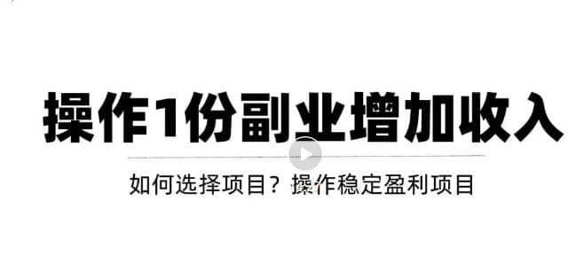 新手如何通过操作副业增加收入，从项目选择到玩法分享！【视频教程】-网创社区