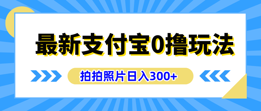 最新支付宝0撸玩法，拍照轻松赚收益，日入300+有手机就能做-网创社区