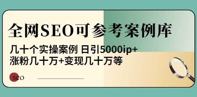 《全网SEO可参考案例库》几十个实操案例-网创社区