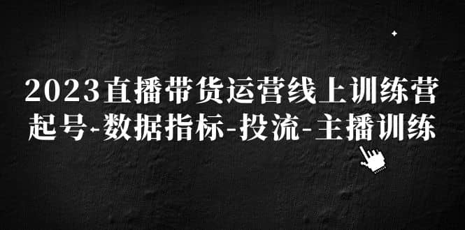 2023直播带货运营线上训练营，起号-数据指标-投流-主播训练-网创社区