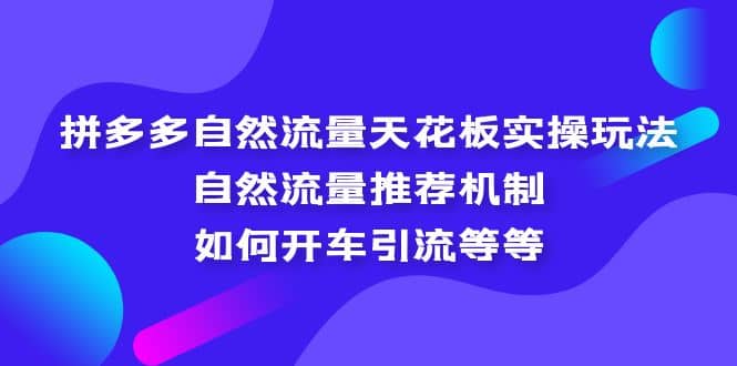 拼多多自然流量天花板实操玩法：自然流量推荐机制，如何开车引流等等-网创社区