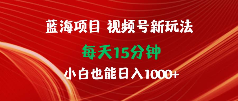 蓝海项目视频号新玩法 每天15分钟 小白也能日入1000+-网创社区