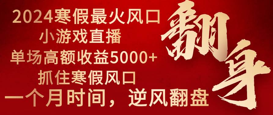 2024年最火寒假风口项目 小游戏直播 单场收益5000+抓住风口 一个月直接提车-网创社区