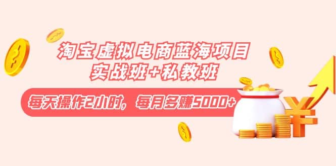 淘宝虚拟电商蓝海项目实战班+私教班-网创社区