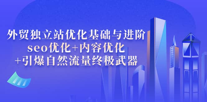 外贸独立站优化基础与进阶，seo优化+内容优化+引爆自然流量终极武器-网创社区