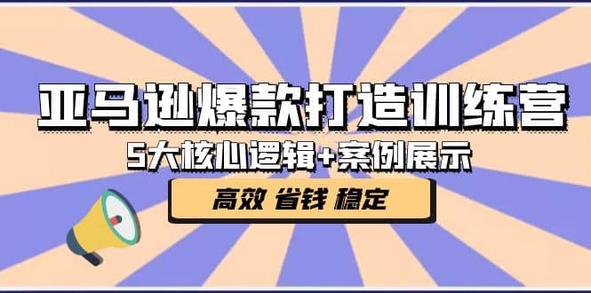 亚马逊爆款打造训练营：5大核心逻辑+案例展示 打造爆款链接 高效 省钱 稳定-网创社区