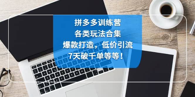 拼多多训练营：各玩法合集，爆款打造，低价引流，7天破千单等等-网创社区