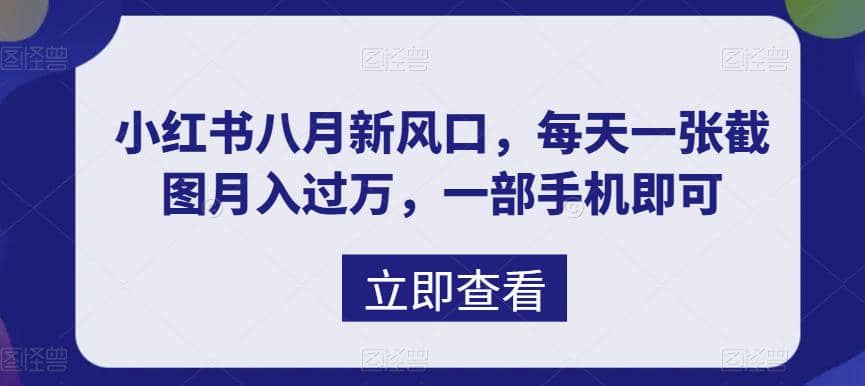 八月新风口，小红书虚拟项目一天收入1000+，实战揭秘-网创社区