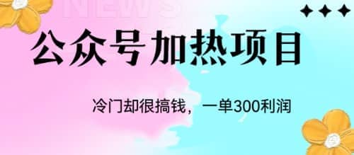 冷门公众号加热项目，一单利润300+-网创社区
