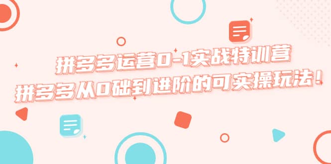 拼多多运营0-1实战特训营，拼多多从0础到进阶的可实操玩法-网创社区