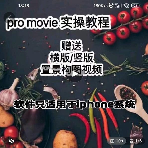 漆十二美食摄影，25​节promovie实操高手课节-网创社区