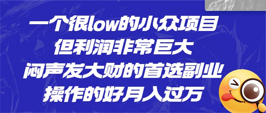 一个很low的小众项目，但利润非常巨大，闷声发大财的首选副业，月入过万-网创社区