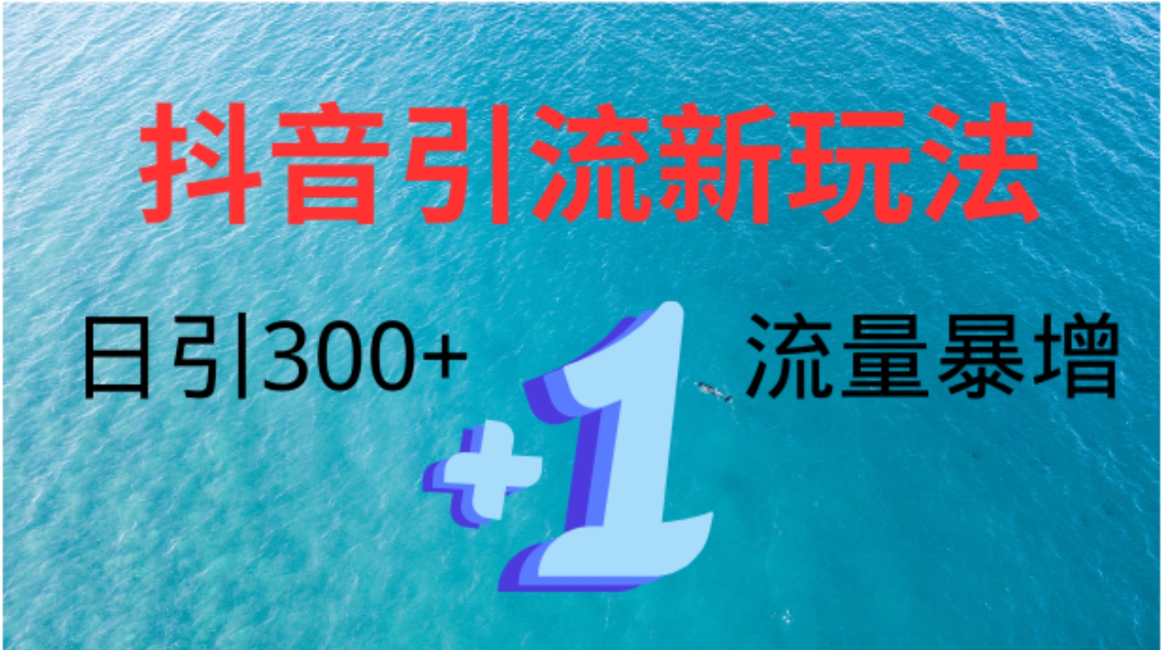 创业粉高效引流，抖音工具号玩法4.0，日引300+-网创社区