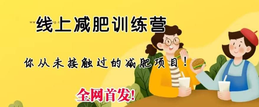 线上减肥训练营，足不出户，仅靠拉几个社群，发几条朋友圈，就可以月实现入五位【揭秘】-网创社区