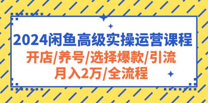 2024闲鱼高级实操运营课程：开店/养号/选择爆款/引流/月入2万/全流程-网创社区