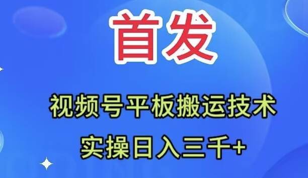 全网首发：视频号平板搬运技术，实操日入三千＋-网创社区