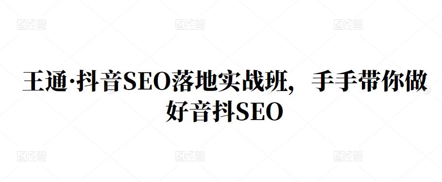 王通·抖音SEO落地实战班，手‬手带你做好音抖‬‬SEO-网创社区
