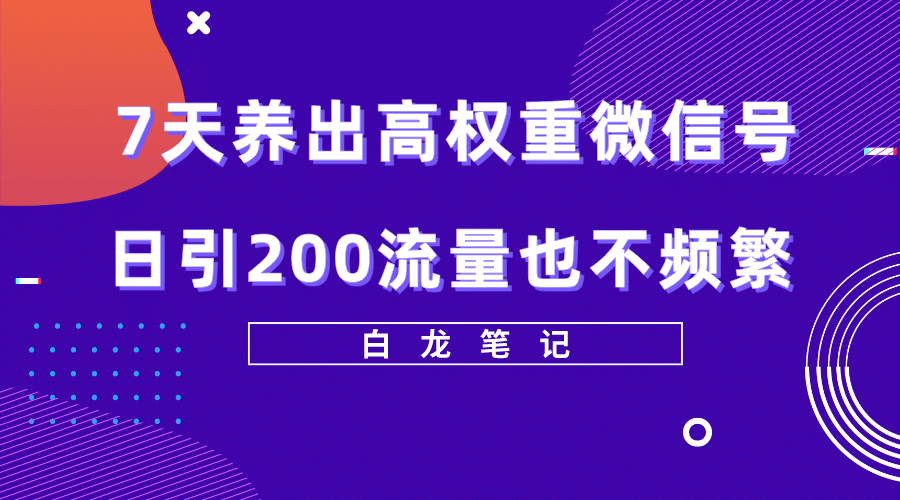 7天养出高权重微信号，日引200流量也不频繁，方法价值3680元-网创社区