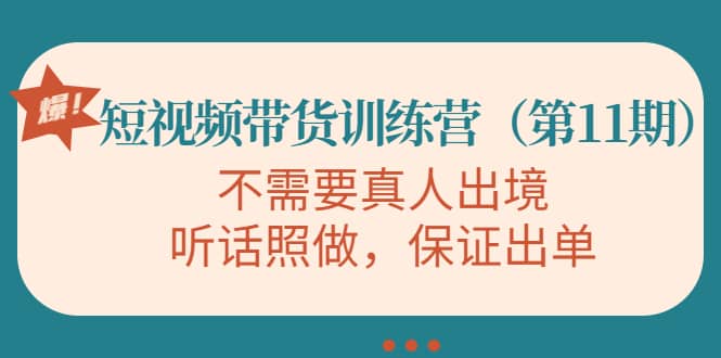 短视频带货训练营（第11期），不需要真人出境，听话照做，保证出单-网创社区
