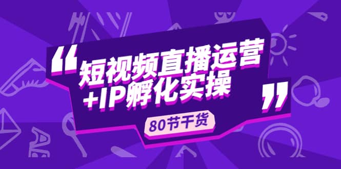 短视频直播运营+IP孵化实战：80节干货实操分享-网创社区