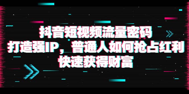 抖音短视频流量密码：打造强IP，普通人如何抢占红利，快速获得财富-网创社区