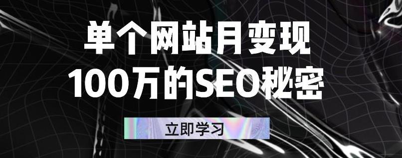 单个网站月变现100万的SEO秘密，百分百做出赚钱站点-网创社区