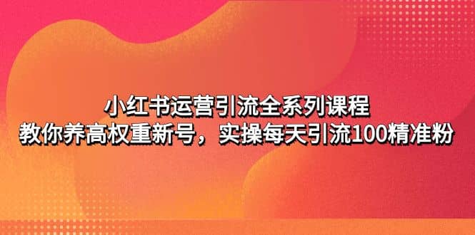 小红书运营引流全系列课程：教你养高权重新号-网创社区