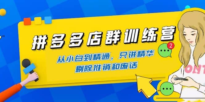 拼多多店群训练营：从小白到精通，只讲精华，剔除推销和废话-网创社区