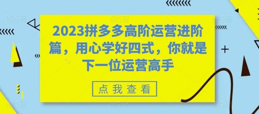 2023拼多多高阶运营进阶篇，用心学好四式，你就是下一位运营高手-网创社区