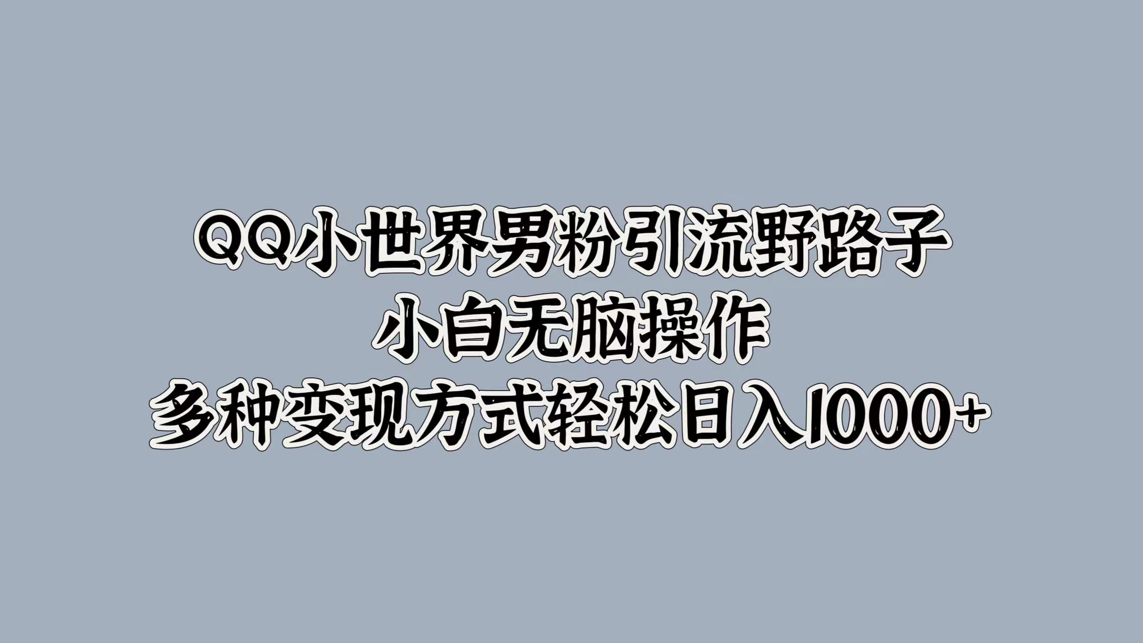 QQ小世界男粉引流野路子，小白无脑操作，多种变现方式轻松日入1000+-网创社区