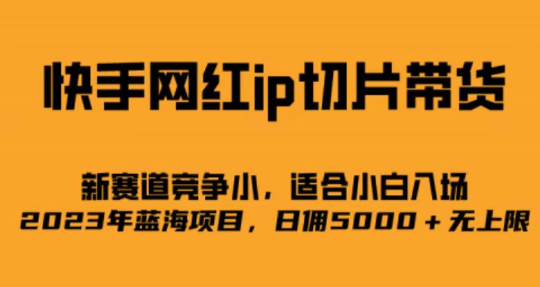 快手网红ip切片新赛道，竞争小事，适合小白 2023蓝海项目-网创社区