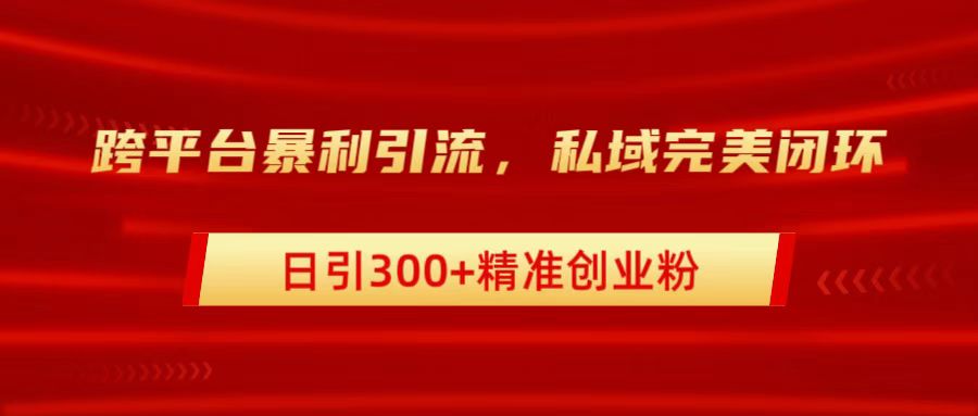 跨平台暴力引流，私域完美闭环，日引300+精准创业粉-网创社区