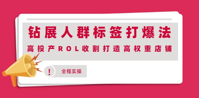 钻展人群标签打爆法，高投产ROL收割打造高权重店铺(全程实操)-网创社区