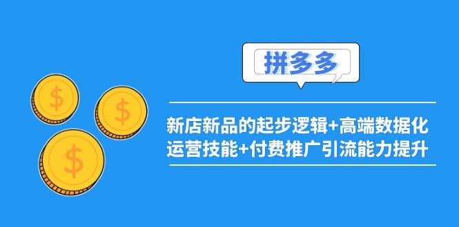 2022拼多多：新店新品的起步逻辑+高端数据化运营技能+付费推广引流能力提升-网创社区