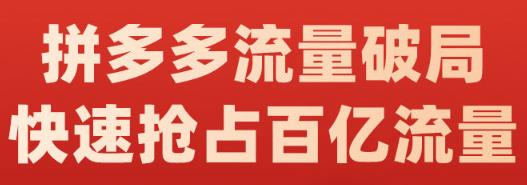 阿杰·拼多多流量破局:如何打黑标，爆款的思路，拼多多流量框架，快速抢占百亿流量-网创社区